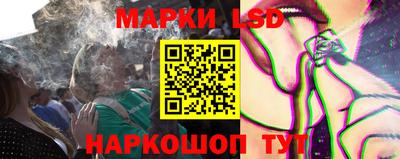 гидропоника Пенза