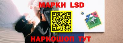 гидропоника Пенза