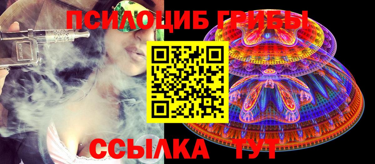 Галлюциногенные грибы Psilocybe Рубцовск